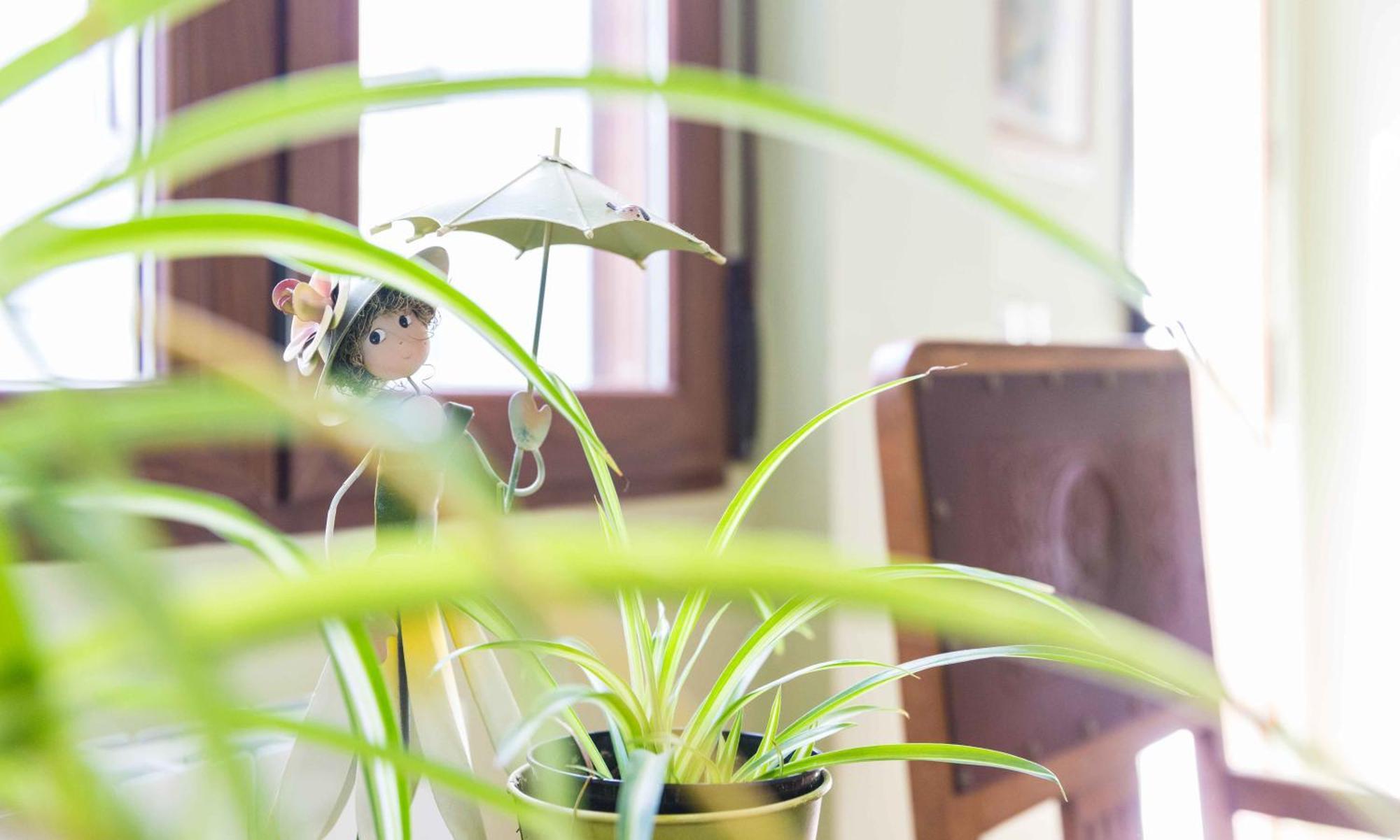 Apartamentos Salmerones Alhama de Granada Phòng bức ảnh